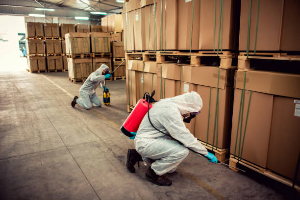 Best Wasp Removal Services  in Loma Linda, CA