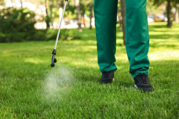 Trusted Loma Linda, CA Pest Control Experts