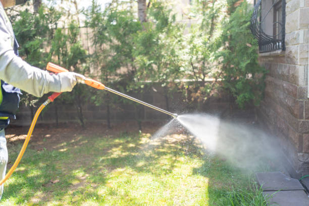 Best Pest Inspection Near Me  in Loma Linda, CA