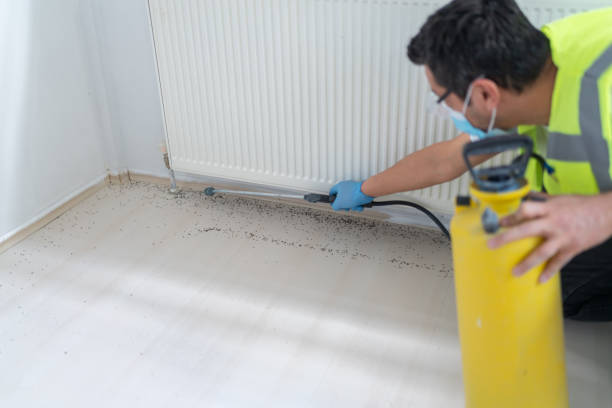 Best Mosquito Control Services  in Loma Linda, CA