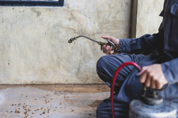 Pest Control for Restaurants in Loma Linda, CA